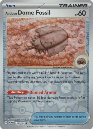 Antiek Koepelfossiel - 152/165 - Reverse