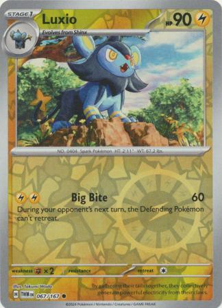Luxio - 67/167 - Reverse
