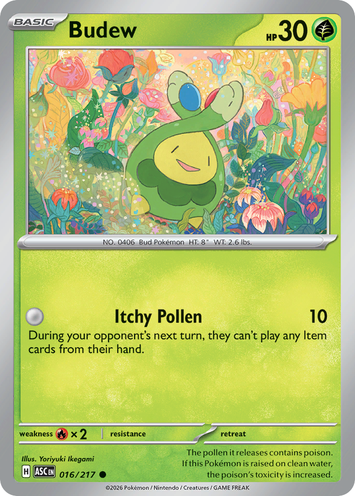 Budew - 16/217 - Normaal