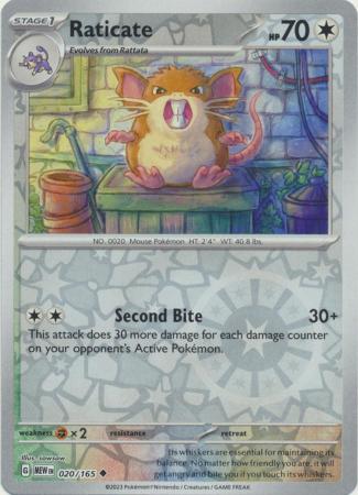 Raticate - 20/165 - Reverse