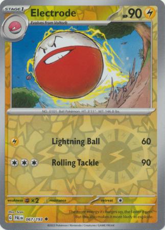 Electrode - 67/193 - Reverse
