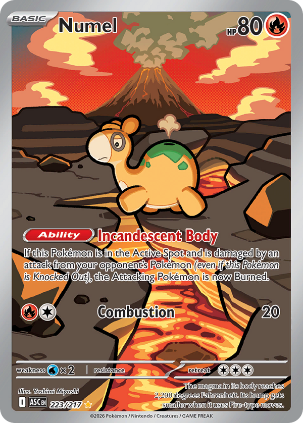 Numel - 223/217 - Holo