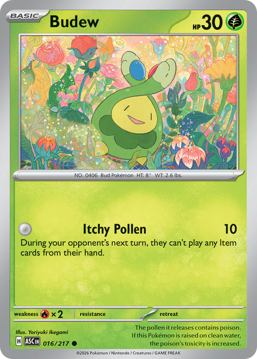 Budew - 16/217 - Normal