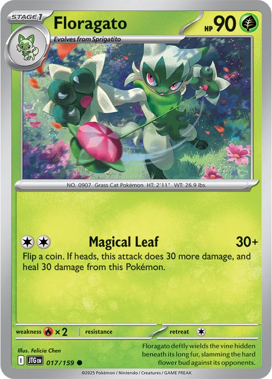 Floragato - 17/159 - Normaal