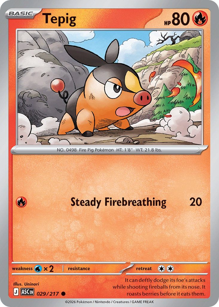 Tepig - 29/217 - Normal